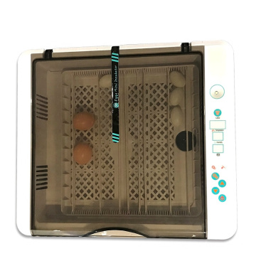 Widely Used laboratory bird egg incubator 36 chicken eggs hatching machine